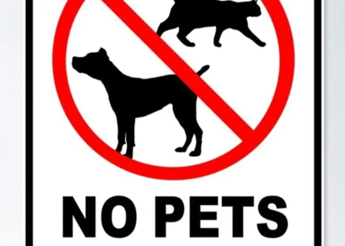 In The Heart Of The 5a Apartment *